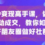 私域IP变现高手课，做好私域，被动成交，教你如何打造好朋友圈做好社群