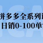 2024拼多多全系列课程实操，日销0-100单实操【必看】