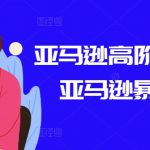 亚马逊高阶打法课，亚马逊暴力打法