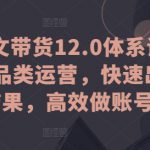 抖音图文带货12.0体系课，主打全品类运营，快速出单拿结果，高效做账号