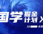 国学掘金计划2024实战教学视频教学，高复购项目长久项目