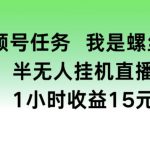 视频号任务，我是螺丝王， 半无人挂机1小时收益15元【揭秘】