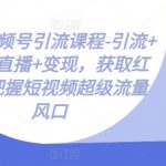 微信视频号引流课程-引流+裂变+直播+变现，获取红利，把握短视频超级流量风口