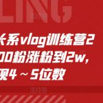 个人成长系vlog训练营2期，从500粉涨粉到2w，变现4～5位数