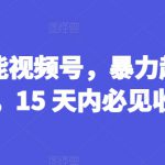 AI赋能视频号，暴力起号秘籍，15 天内必见收益【揭秘】