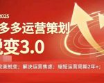 2024-2025拼多多运营策略蜕变3.0，0~1完美蜕变，解决信息焦虑