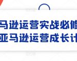 亚马逊运营实战必修课，亚马逊运营成长计划