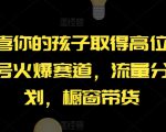 【恭喜你的孩子取得高位】AI视频号火爆赛道，流量分成计划，橱窗带货【揭秘】