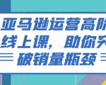 亚马逊运营高阶线上课，助你突破销量瓶颈