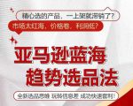 亚马逊蓝海趋势选法，全新选品思维，玩转信息差