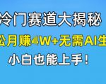 冷门赛道大揭秘，轻松月赚1W+无需AI生成，小白也能上手【揭秘】