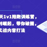 实体获客90天1v1陪跑训练营，实体同城红利崛起，带你破圈，掌握实战内容打法