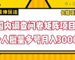 国内调查问卷矩阵项目，一人批量多号月入3000【揭秘】