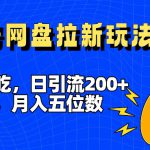 一鱼多吃，日引流200+创业粉，全平台工具号，网盘拉新新玩法月入5位数【揭秘】