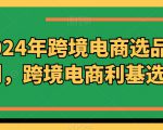 2024年跨境电商选品案例，跨境电商利基选品（更新）