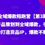 货品IP全域爆款陪跑营【第3期】赛道选择、产品策划到全域爆款，手把手教你打造货品IP，爆款不断