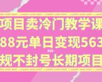 独家项目卖冷门教学课程一单88元单日变现5632元违规不封号长期项目【揭秘】