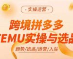 跨境拼多多TEMU实操与选品，多多temu跨境选品运营实操