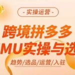 跨境拼多多TEMU实操与选品，多多temu跨境选品运营实操