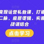 小红书IP变现运营私教课，打通红书IP变现任督二脉，底层逻辑、实操方法、战训结合