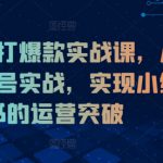 小红书打爆款实战课，从0到1起号实战，实现小红书的运营突破