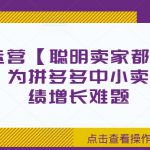 拼多多运营【聪明卖家都在做】无水印版，为拼多多中小卖家解决业绩增长难题