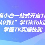 跨境电商小白一站式开启TK搞钱，教你“从0到1”学TikTok运营轻松掌握TK实操技能