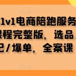 小红书1v1电商陪跑服务，资料+课程完整版，选品/笔记/爆单，全案课