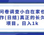 国内问卷调查小白在家也可批量操作(日结)真正的长久稳定项目，日入1k【揭秘】