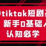 海外tiktok短剧基础课，新手0基础入门认知必学