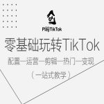 零基础玩转TikTok，配置一运营一剪辑一热门一变现，一站式教学