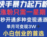 快手暴力起万粉，涨粉只需一星期，多种变现模式，直接秒开万合，单月变现过W【揭秘】