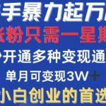 快手暴力起万粉，涨粉只需一星期，多种变现模式，直接秒开万合，单月变现过W【揭秘】