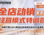 全店动销经营模式特训营，指哪打哪100%精准拉新保姆式起店实操课程