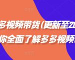 拼多多视频带货(更新至2024)，带你全面了解多多视频带货