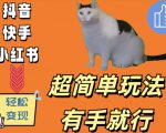 超简单玩法，有手就行，靠猫咪视频日入500+【揭秘】