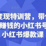 小红书变现特训营，带你从0到1做一个赚钱的小红书号，24堂小红书爆款课