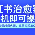 小红书治愈视频赛道，手机即可操作，流量超级火爆，单日变现300+【揭秘】