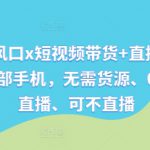 视频号新风口x短视频带货+直播带货，全程只需一部手机，无需货源、0粉丝、可直播、可不直播