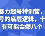 小红书暴力起号特训营，掌握小红书起号的底层逻辑，十个帖真有可能会爆八个