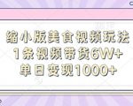 缩小版美食视频玩法，1条视频带货6W+，单日变现1k