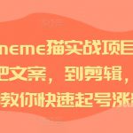 短视频meme猫实战项目，从选素材到把文案，到剪辑，手把手的教你快速起号涨粉