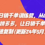 拼多多日销千单训练营，从0开始带你做好拼多多，让日销千单可以快速复制(更新24年10月)