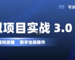 虚拟项目实战3.0，打造自动盈利店铺，可长期操作投入低，新手也能操作