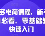 拼多多电商课程，新手纯小白必看，零基础教学快速入门