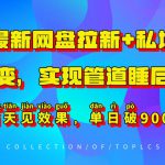 11月最新网盘拉新+私域全自动裂变，实现管道睡后收益，当天见效果，单日破900+