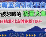 豆瓣蓝海引流平台，一个被忽略的流量大鱼塘，单日精准引流创业粉100+