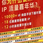 群响IP流量嘉年华，​现场视频+IP江湖2024典藏版PPT