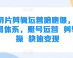 IP切片剪辑运营陪跑课，3大培训体系，账号运营 剪辑实操 快速变现