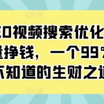 抖音SEO视频搜索优化获取免费流量挣钱，一个99%人还不知道的生财之道